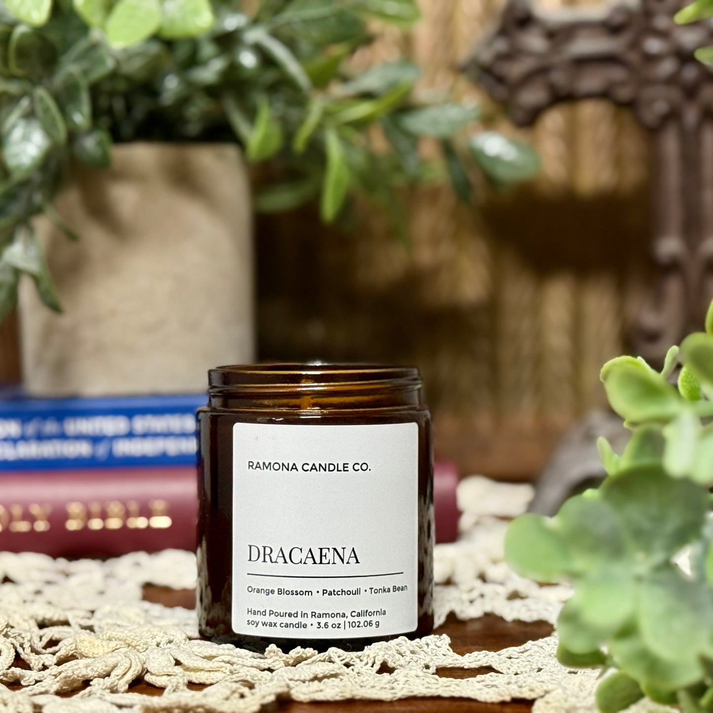 Dracaena