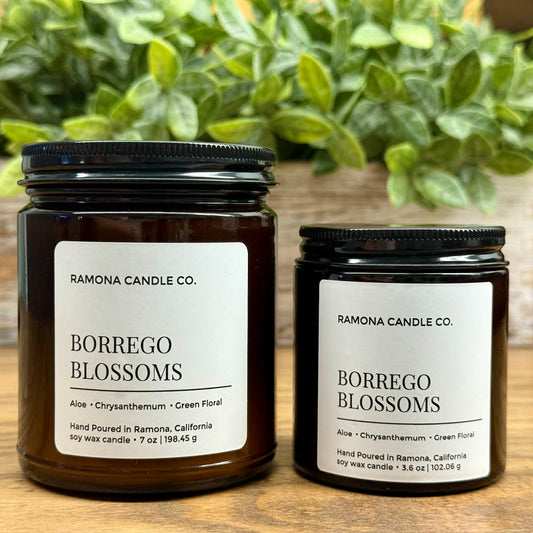 Borrego Blossoms
