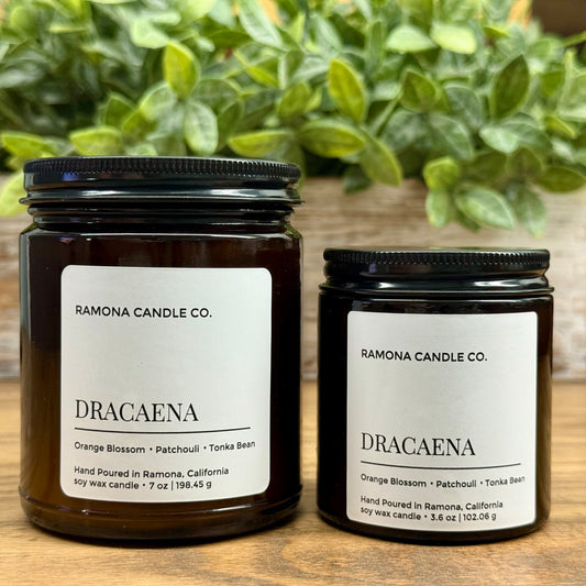 Dracaena